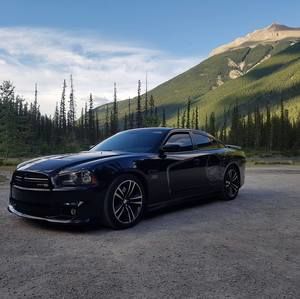 Meet your Posher, Devon